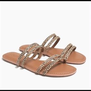 JCrew sandals